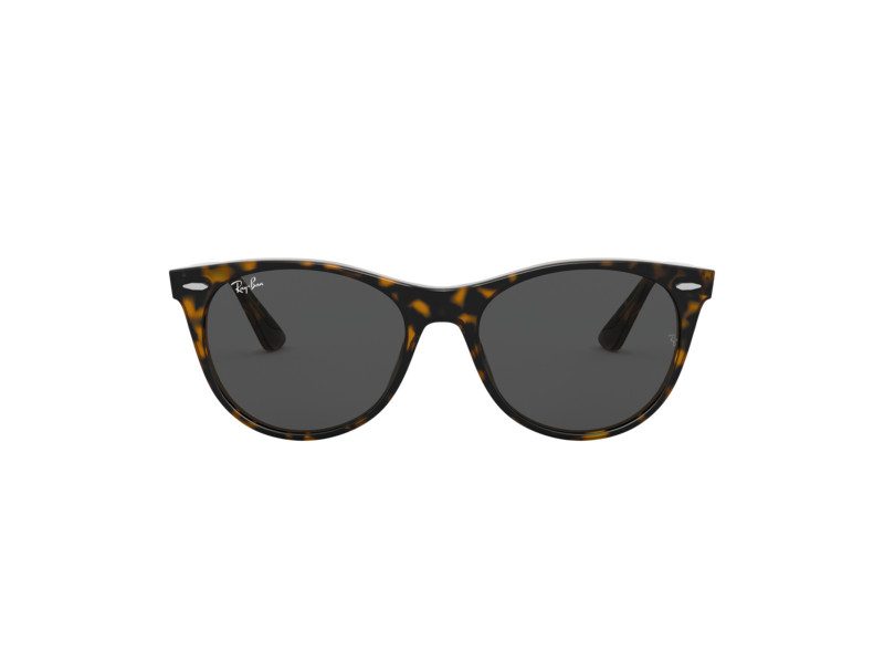 Ray-Ban Wayfarer Ii Naočare za sunce RB 2185 1292/B1