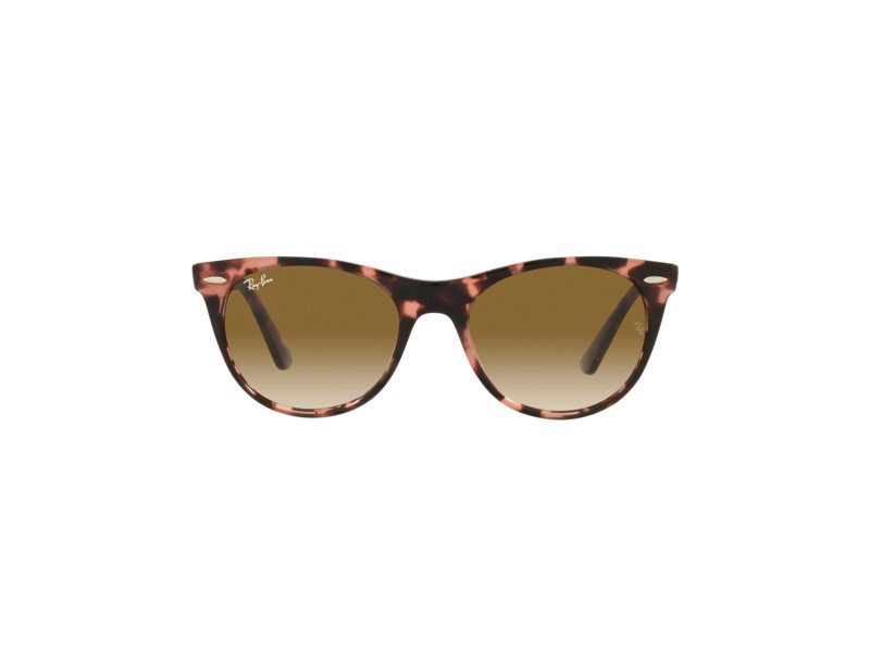 Ray-Ban Wayfarer Ii Naočare za sunce RB 2185 1334/51