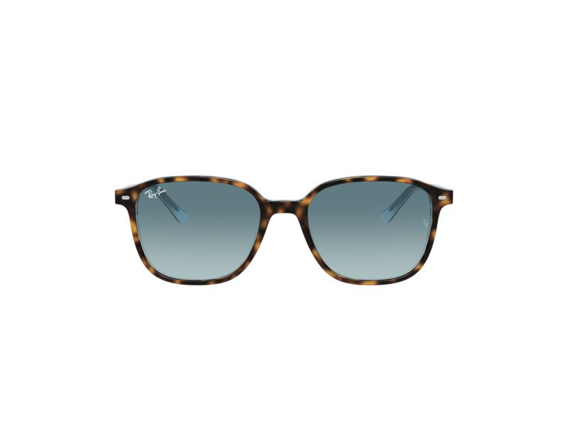 Ray-Ban Leonard Naočare za sunce RB 2193 1316/3M