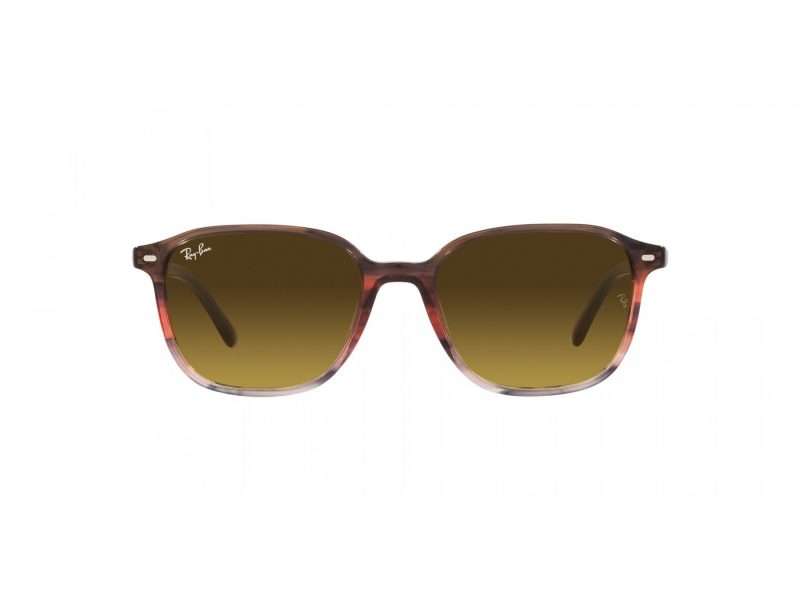 Ray-Ban Leonard Naočare za sunce RB 2193 138085