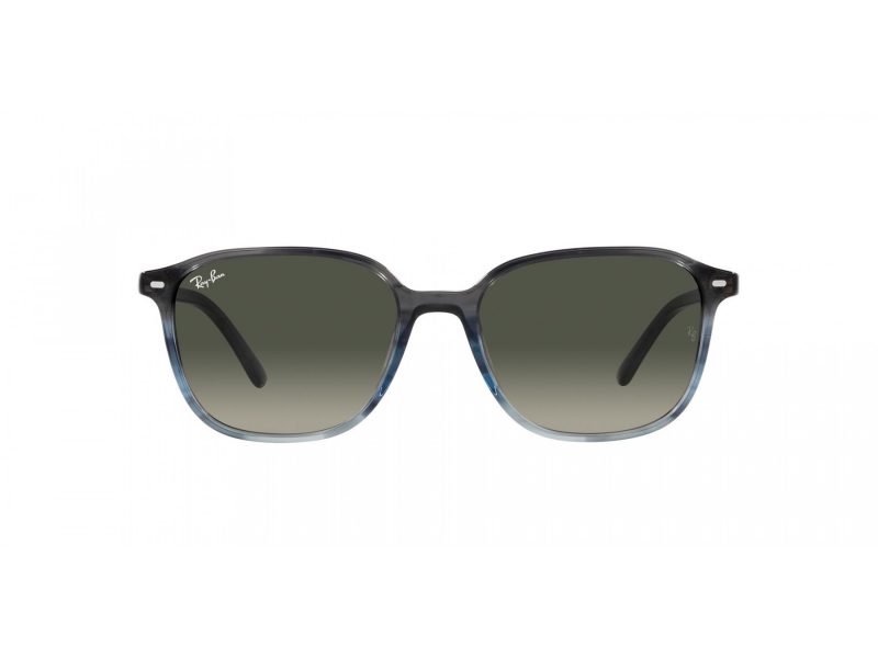 Ray-Ban Leonard Naočare za sunce RB 2193 138171