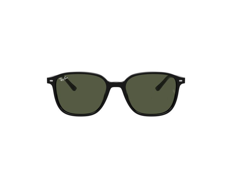 Ray-Ban Leonard Naočare za sunce RB 2193 901/31