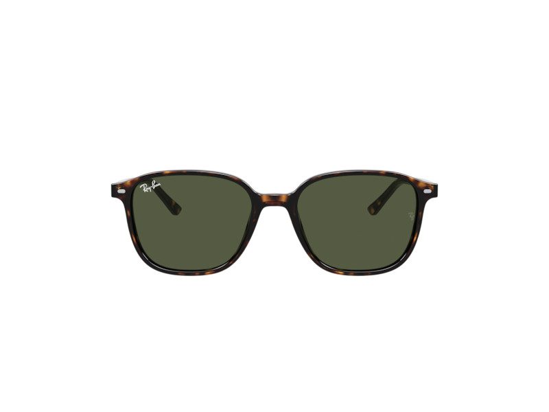 Ray-Ban Leonard Naočare za sunce RB 2193 902/31