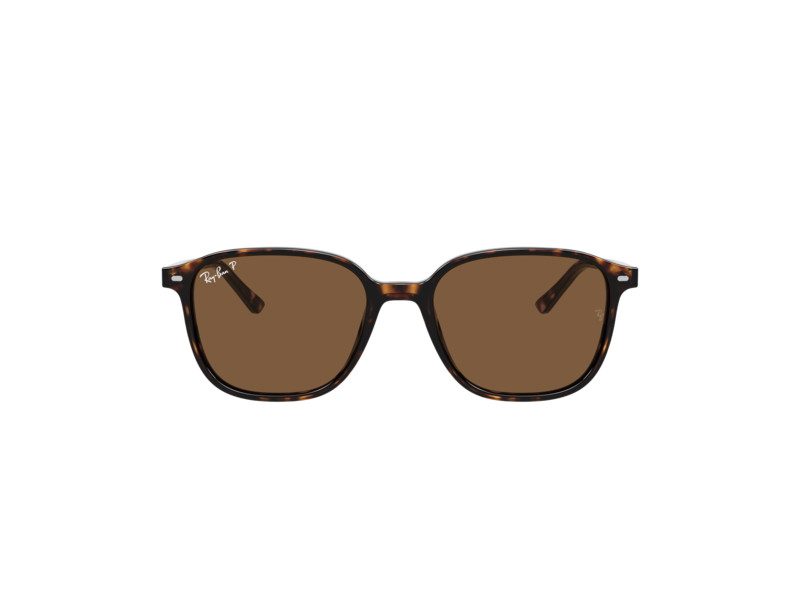 Ray-Ban Leonard Naočare za sunce RB 2193 902/57