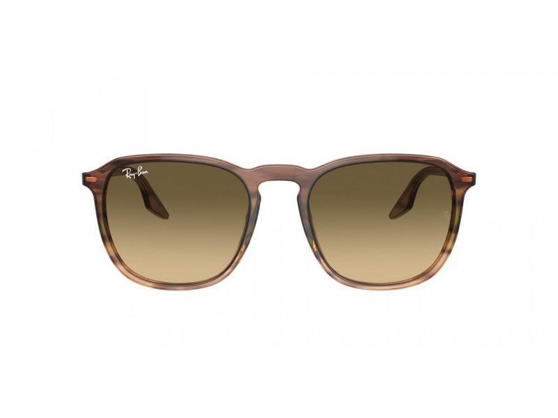 Ray-Ban Naočare za sunce RB 2203 13920A