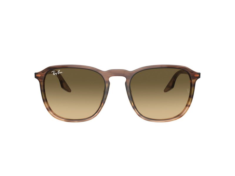 Ray-Ban Naočare za sunce RB 0RB2203 13920A