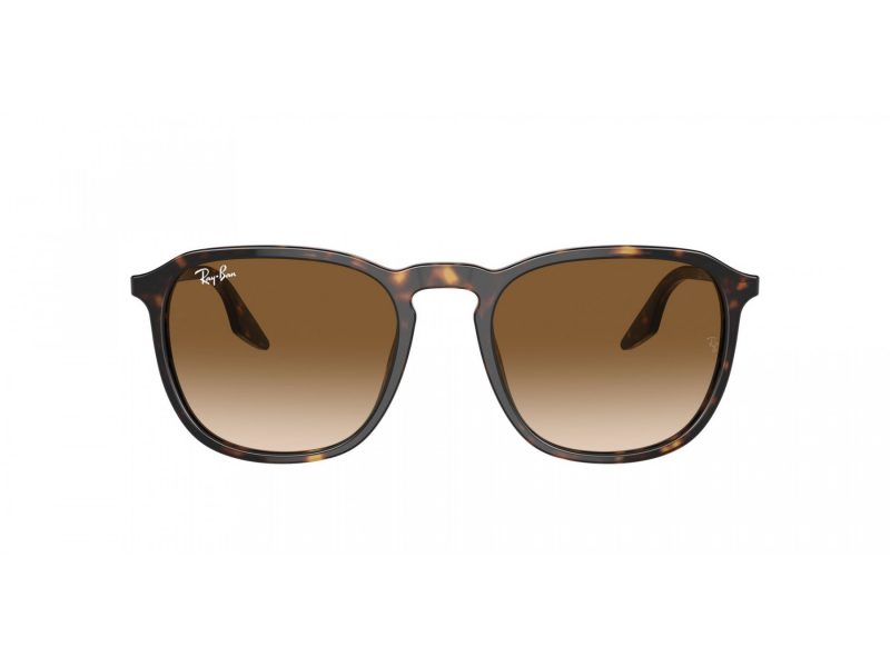 Ray-Ban Naočare za sunce RB 2203 902/51