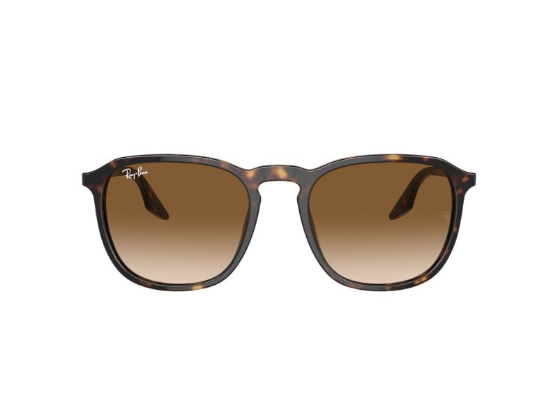 Ray-Ban Naočare za sunce RB 0RB2203 902/51