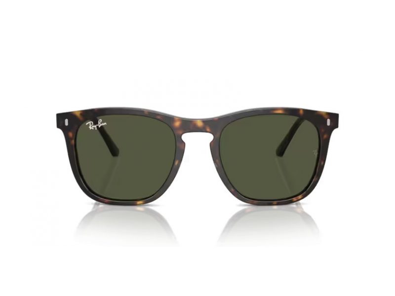 Ray-Ban Naočare za sunce RB 2210 902/31