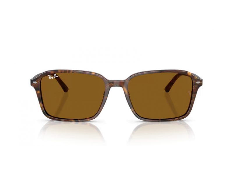 Ray-Ban Raimond Naočare za sunce RB 2231 141833