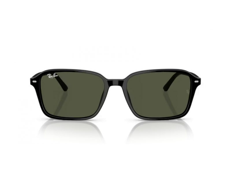 Ray-Ban Raimond Naočare za sunce RB 2231 901/31