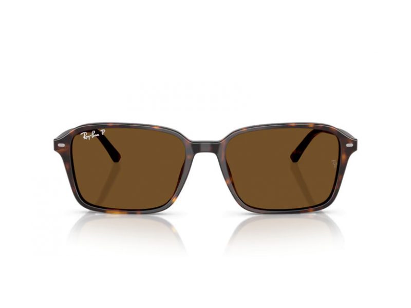 Ray-Ban Raimond Naočare za sunce RB 2231 902/57