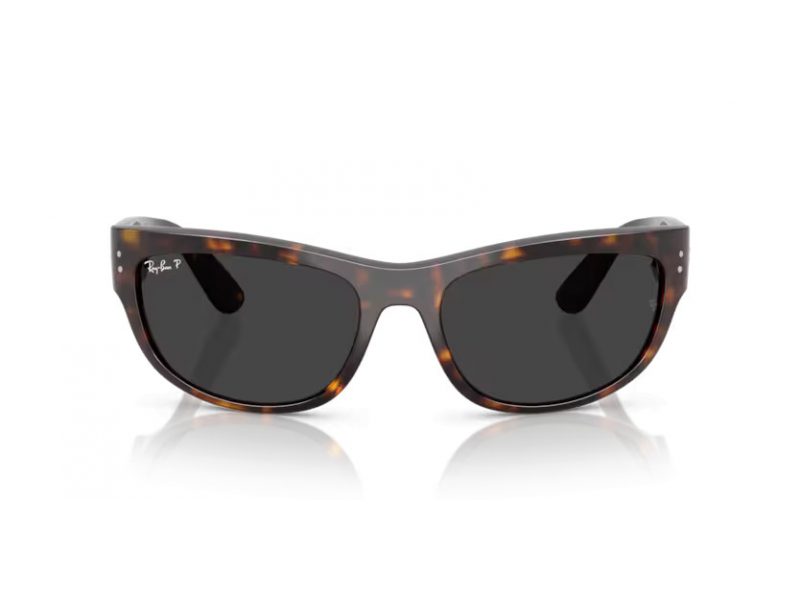 Ray-Ban Mega Balorama Naočare za sunce RB 2289 902/48