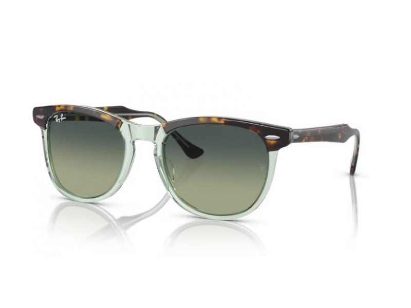 Ray-Ban Eagleeye Naočare za sunce RB 2398 1376BH