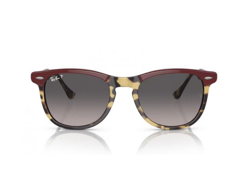 Ray-Ban Eagleeye Naočare za sunce RB 0RB2398 1377M3