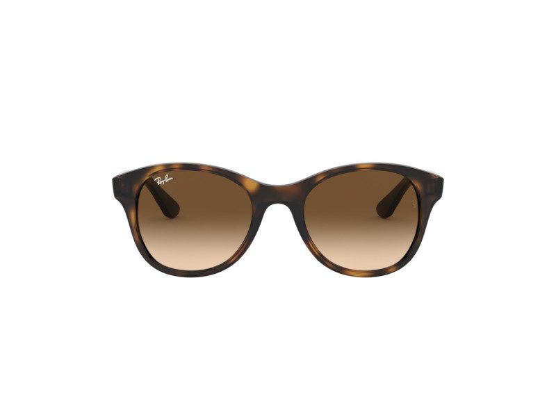 Ray-Ban Naočare za sunce RB 4203 710/13