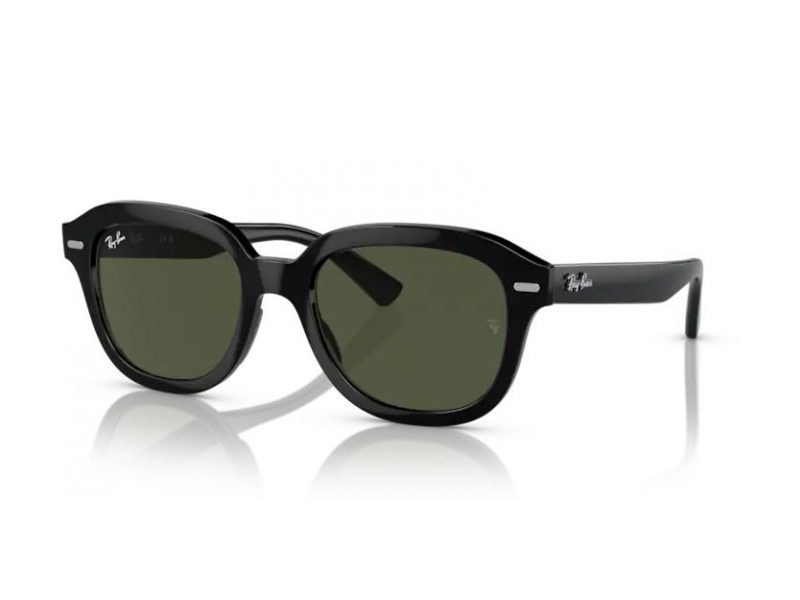 Ray-Ban Erik Naočare za sunce RB 4398 901/31