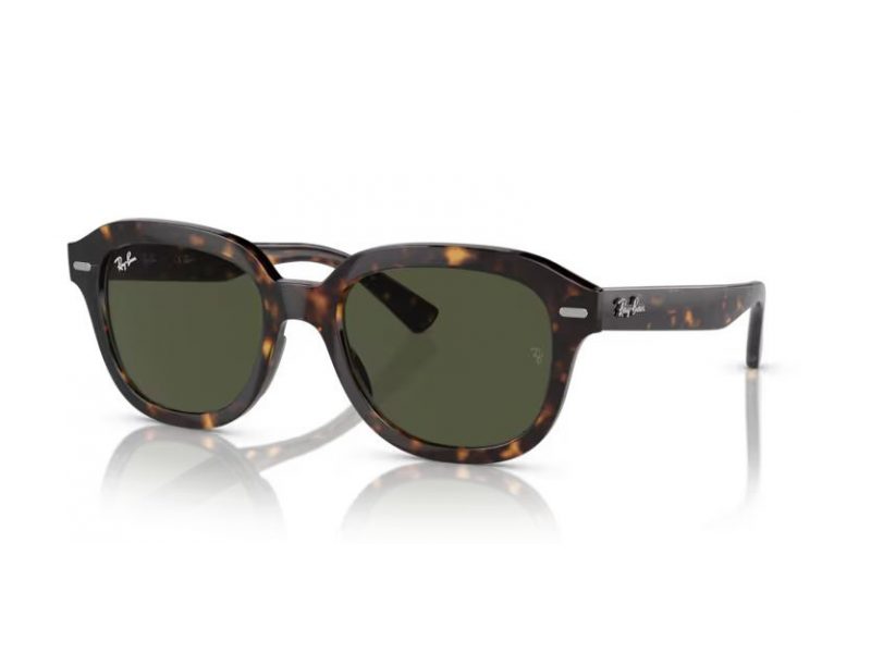 Ray-Ban Erik Naočare za sunce RB 4398 902/31