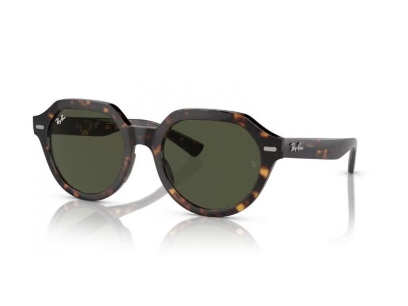 Ray-Ban Gina Naočare za sunce RB 4399 902/31