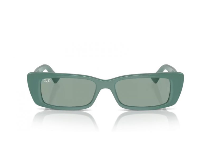 Ray-Ban Teru Naočare za sunce RB 4425 676282