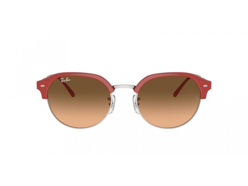 Ray-Ban Naočare za sunce RB 4429 67223B