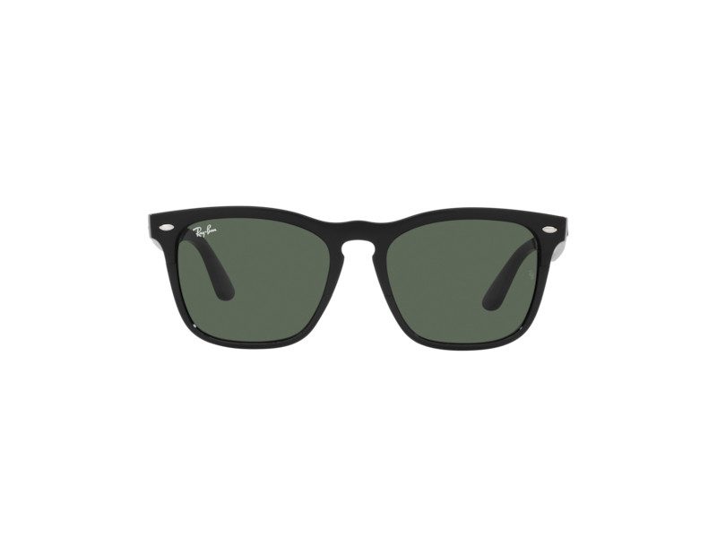 Ray-Ban Steve Naočare RB 4487 662971