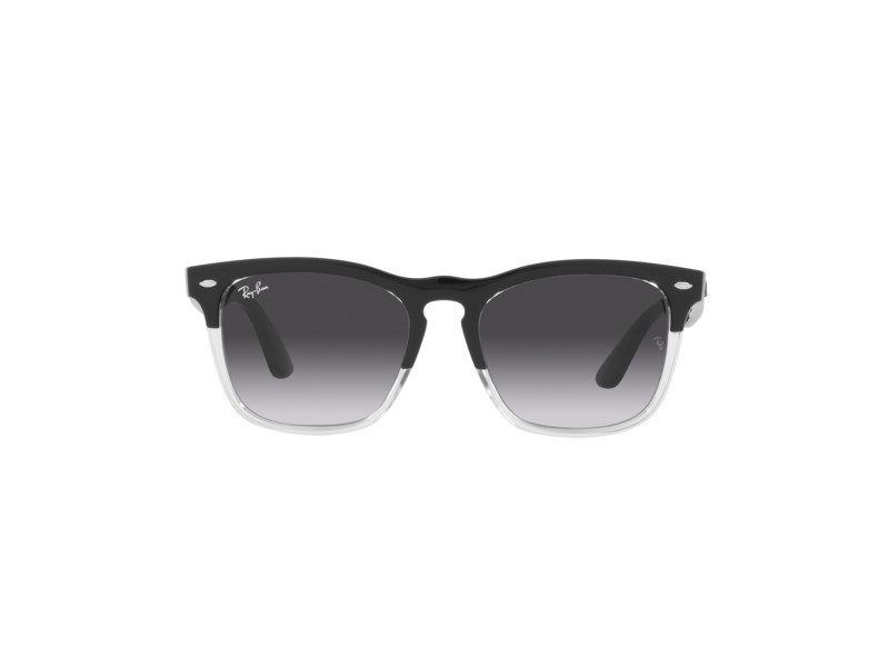 Ray-Ban Steve Naočare RB 4487 66308G