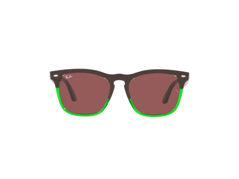 Ray-Ban Steve Naočare RB 4487 663469