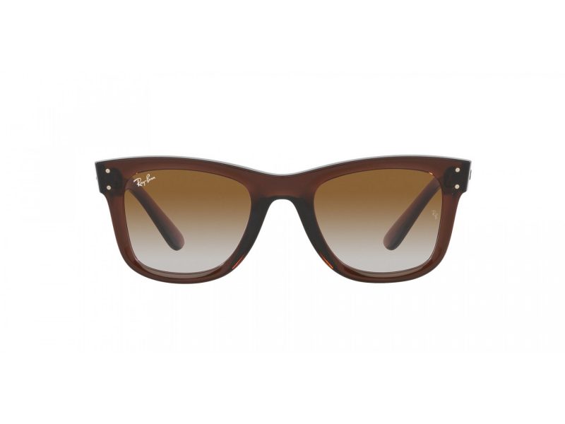 Ray-Ban Wayfarer Reverse Naočare za sunce RB R0502S 6709CB